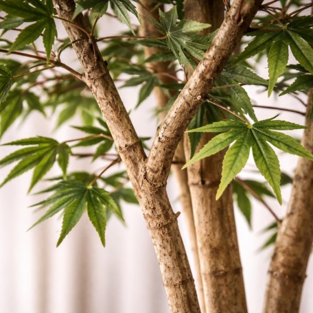 Acero Seminaturale  Mini Foglie Verdi  Tronco Japan H 125 CM