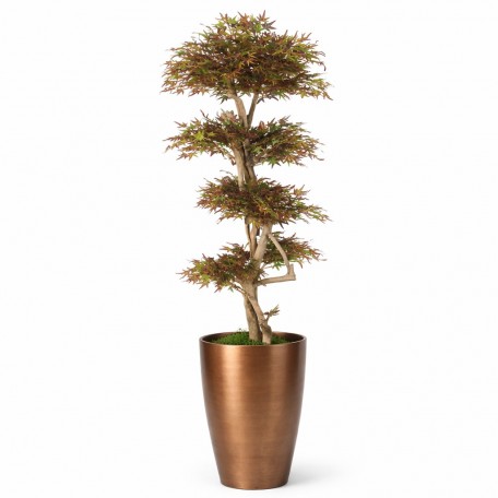 Acero Seminaturale  Mini Foglie Verdi Tronco Japan H 150 CM fr