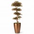 Acero Seminaturale  Mini Foglie Verdi Tronco Japan H 150 CM de