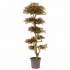 Acero Seminaturale  Mini Foglie Verdi Tronco Japan H 150 CM fr