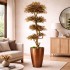 Acero Seminaturale  Mini Foglie Verdi Tronco Japan H 150 CM de