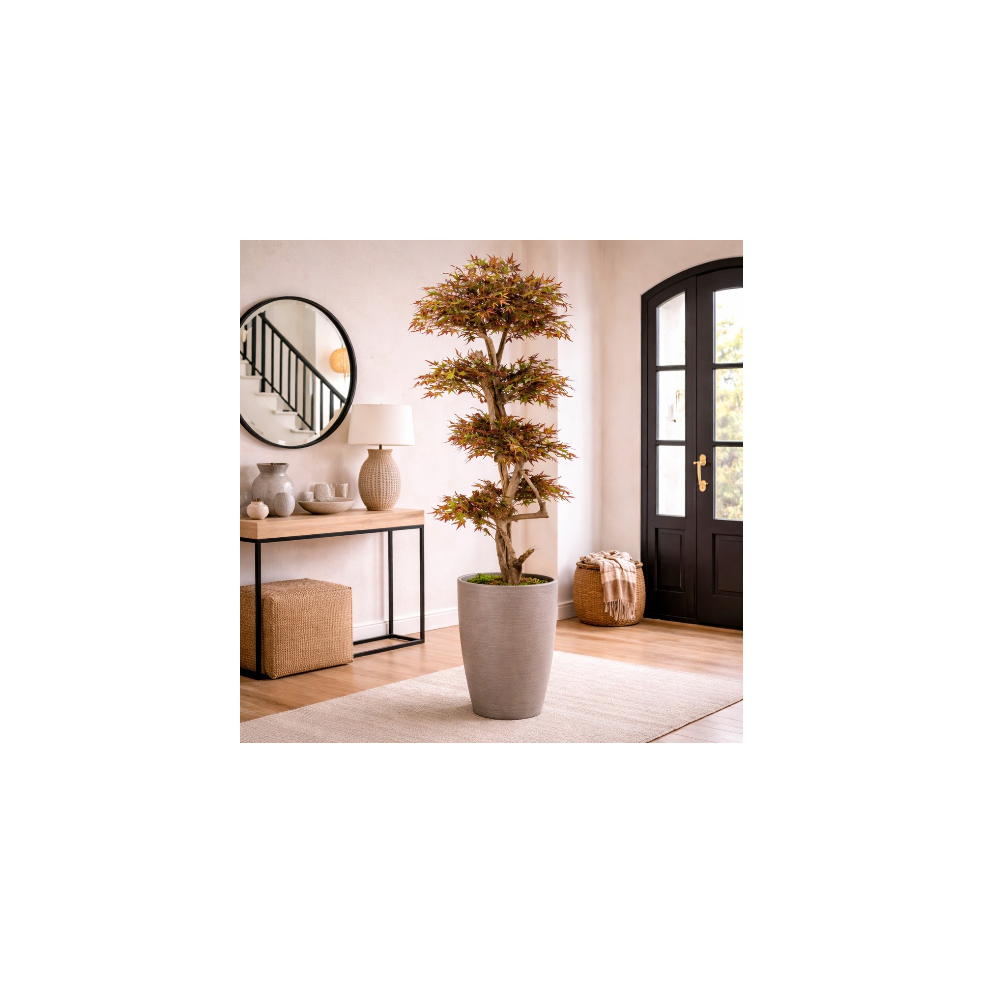 Acero Seminaturale  Mini Foglie Verdi Tronco Japan H 150 CM fr
