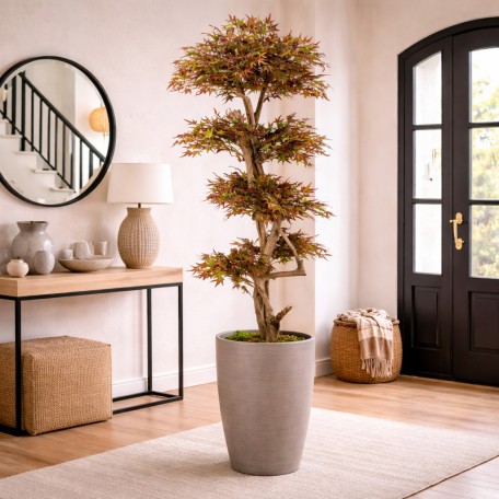Acero Seminaturale  Mini Foglie Verdi Tronco Japan H 150 CM es