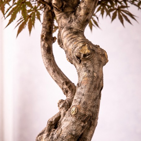Acero Seminaturale  Verde  Tronco VERO legno Mediterraneo H 175cm es