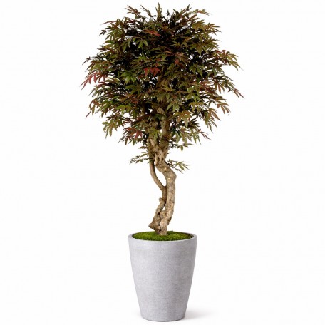 Acero Seminaturale  Verde  Tronco VERO legno  Mediterraneo H 175cm