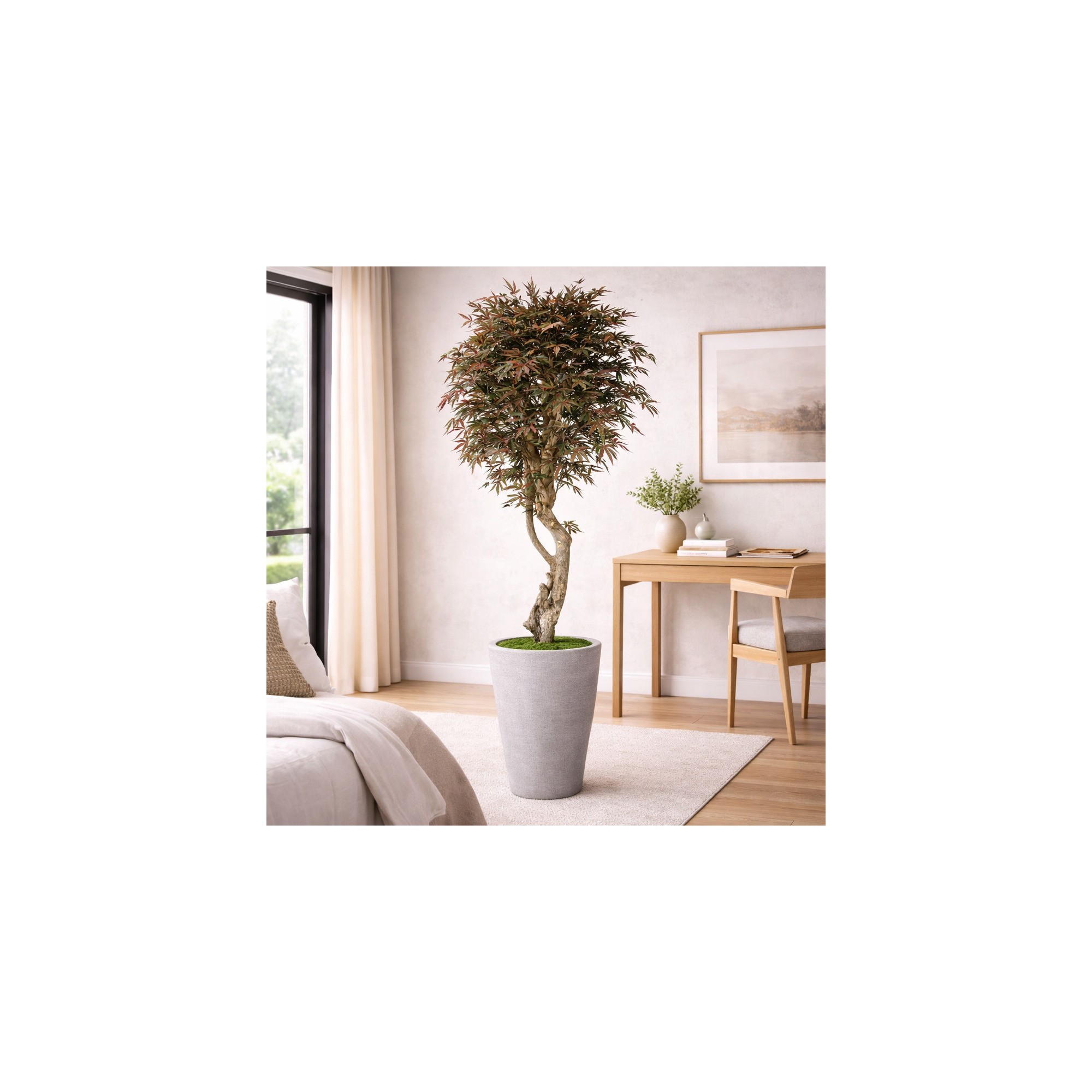  Acero Seminaturale  Verde  Tronco VERO legno Mediterraneo H 175cm de