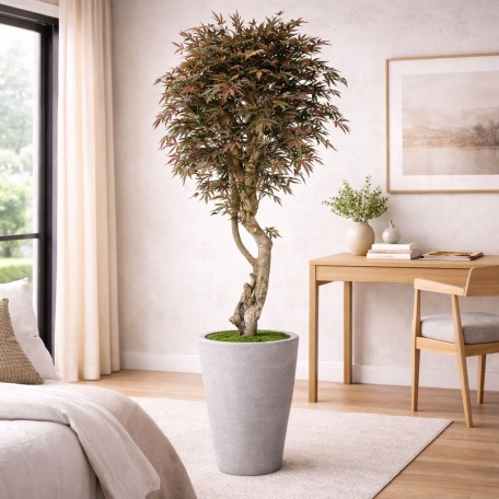 Pianta Acero Seminaturale  Verde  Tronco VERO legno Mediterraneo H 175cm it