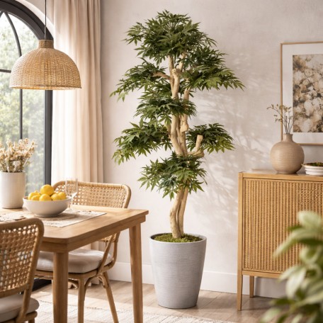 Acero Seminaturale  Verde  Tronco Small Japan  H 150 cm