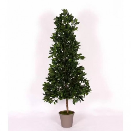 Alloro Seminaturale  Verde  Tower H 210 CM