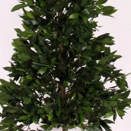 Alloro Seminaturale  Verde  Tower H 210 CM