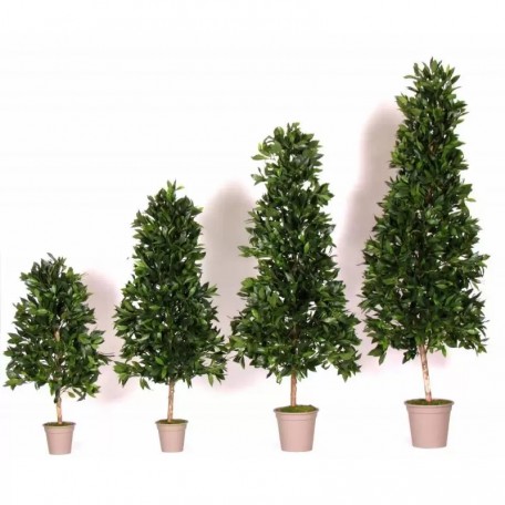 Alloro Seminaturale  Verde  Tower H 210 CM