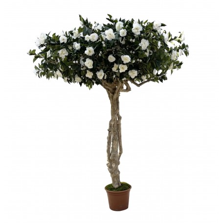 Camelia Luxe Seminaturale  Verde con Fiori Bianchi  Tronco Majestic  H 275 cm