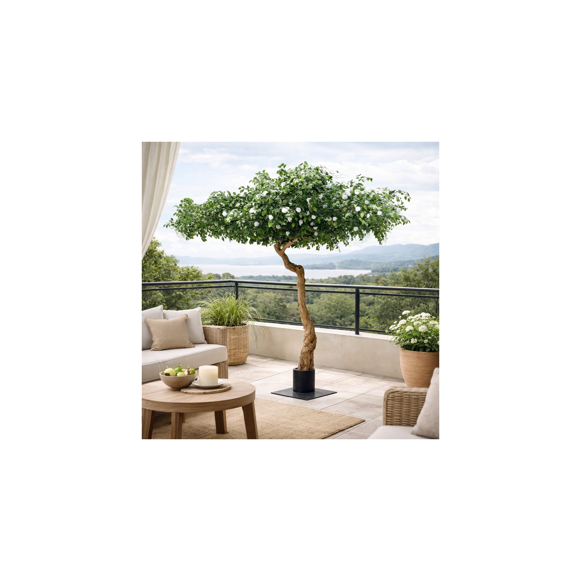  Camelia Seminaturale  Verde con Fiori Bianchi  Tronco Umbrella  H 275 cm