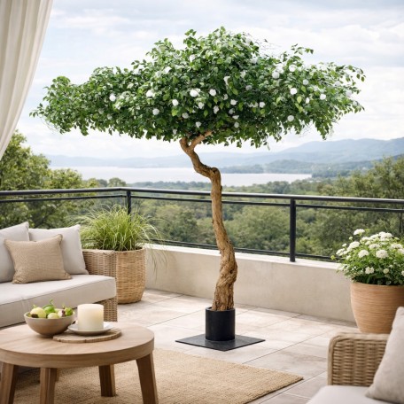 Camelia Seminaturale  Verde con Fiori Bianchi  Tronco Umbrella  H 275 cm