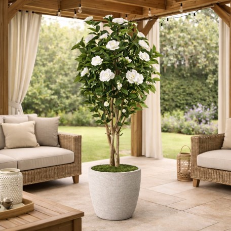 Camelia Semi naturale  Fiori Bianchi  Tronco Mansanisi H 125cm it
