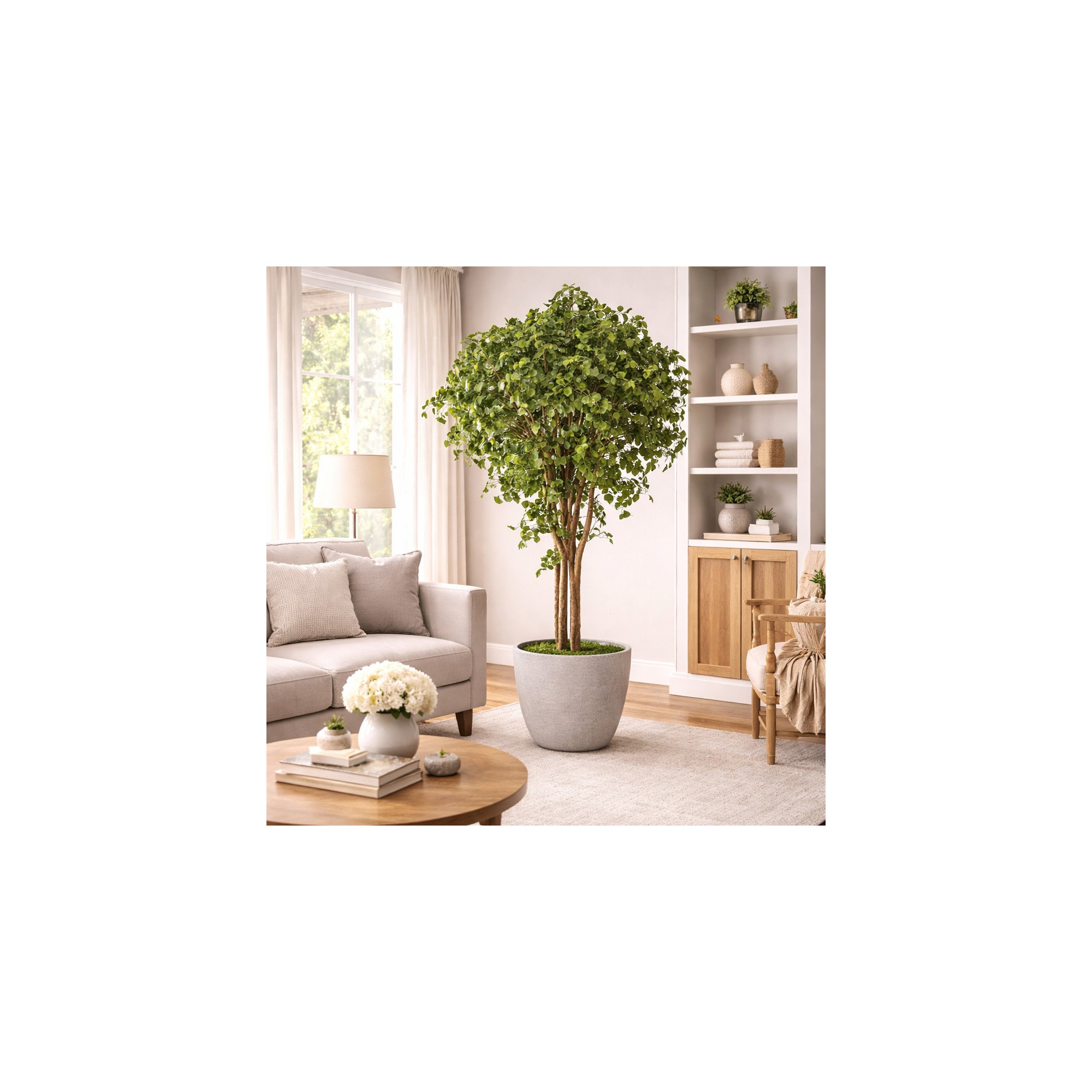  Ginkgo Biloba Seminaturale  Verde  Tronco Naturale  H 150 cm de