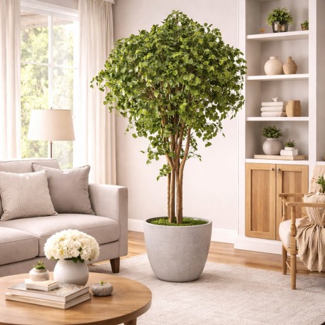 Ginkgo Biloba Seminaturale  Verde  Tronco Naturale  H 175 cm en