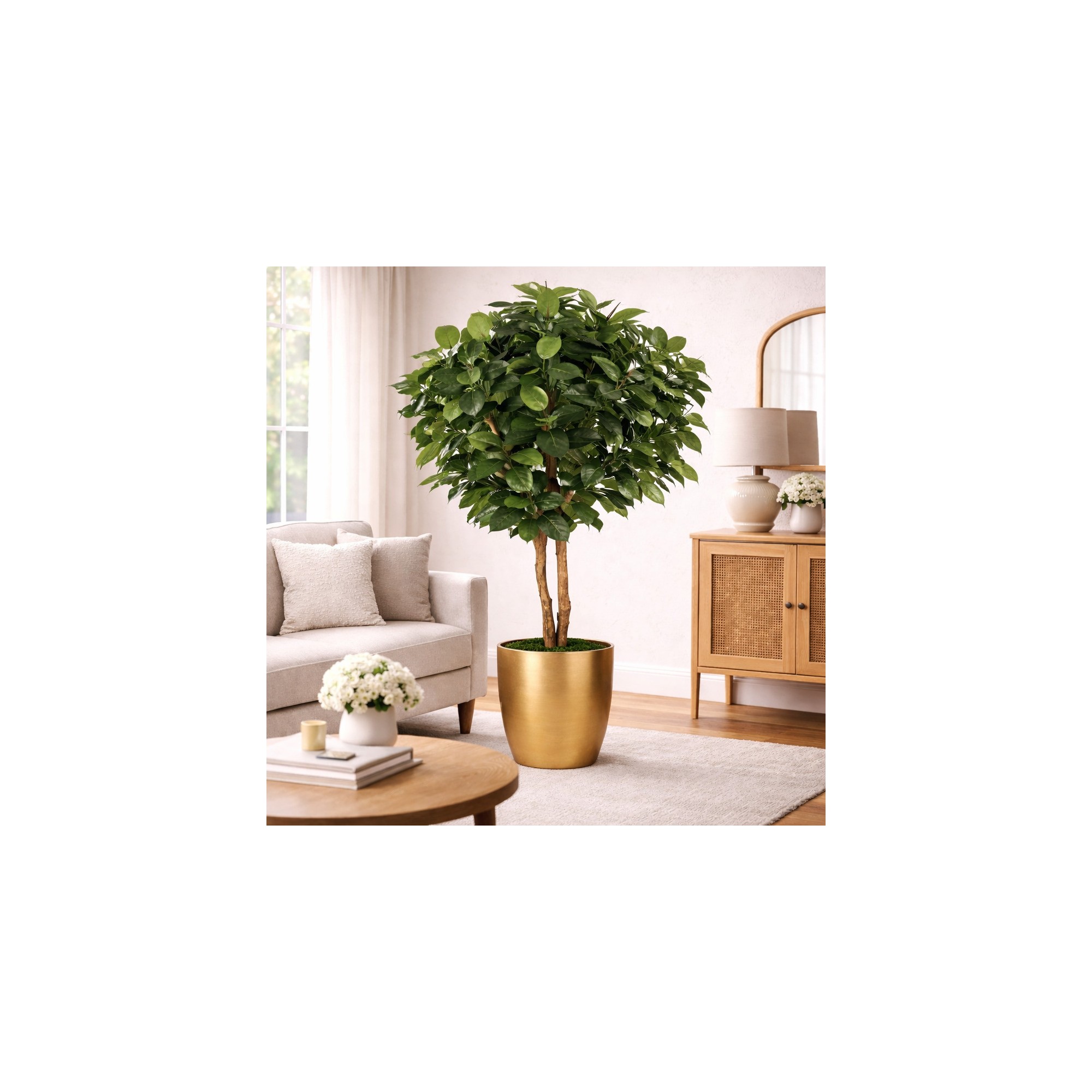 Ficus Elastica Seminaturale  Verde  Tronco Mansanisi H 170 CM