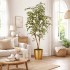 Ficus Hawaiian Semi-Naturale  New Garden  Variegato  Tronco Mansanisi H 150 CM