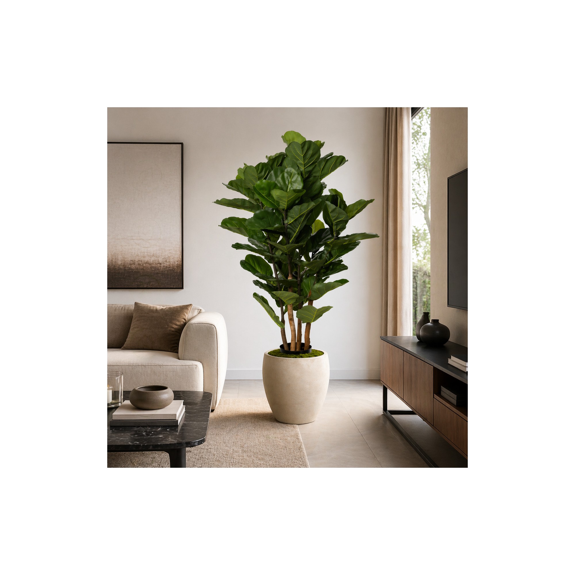 Ficus Lyrata Seminaturale  Verde  UVR  H 165 cm