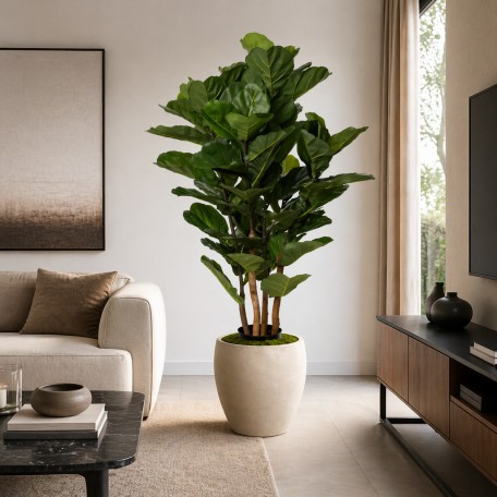 Ficus Lyrata Seminaturale  Verde  UVR  H 165 cm