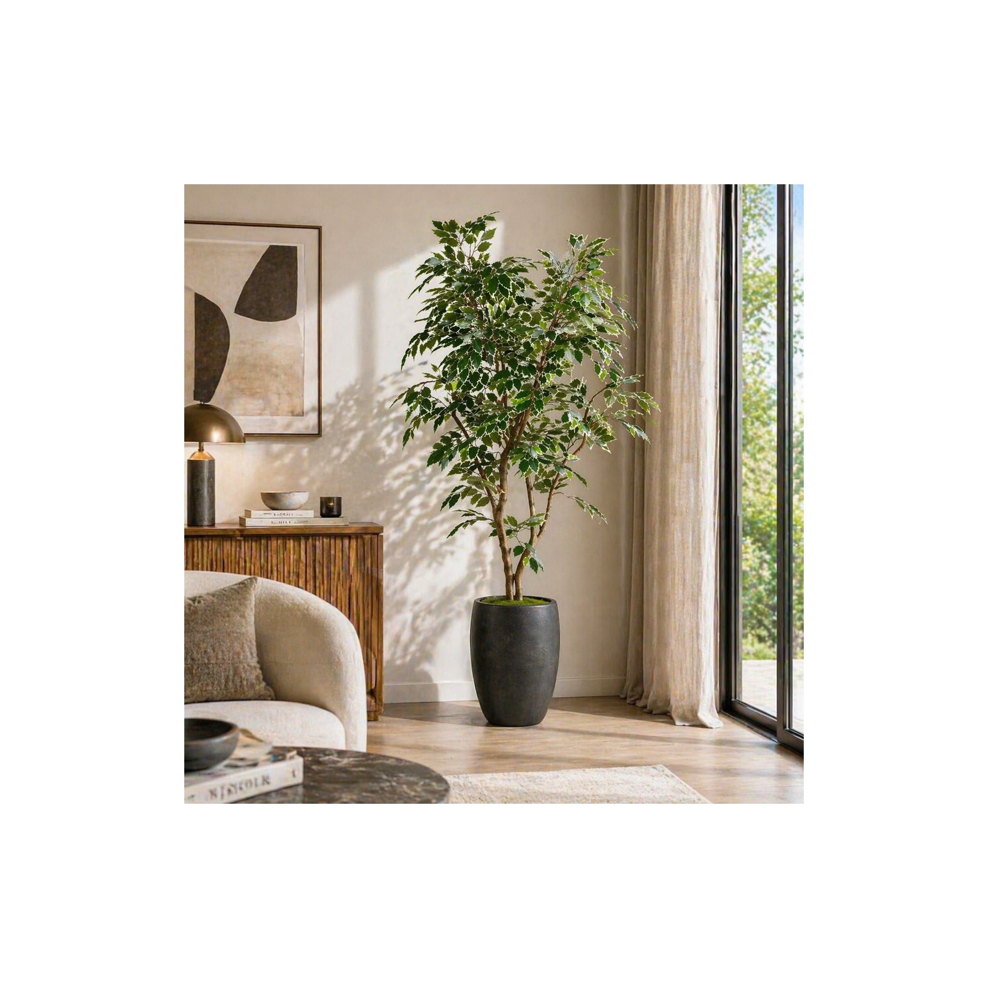  Ficus Luxe Seminaturale  Variegato  Tronco Mansanisi  New Garden H 210 cm