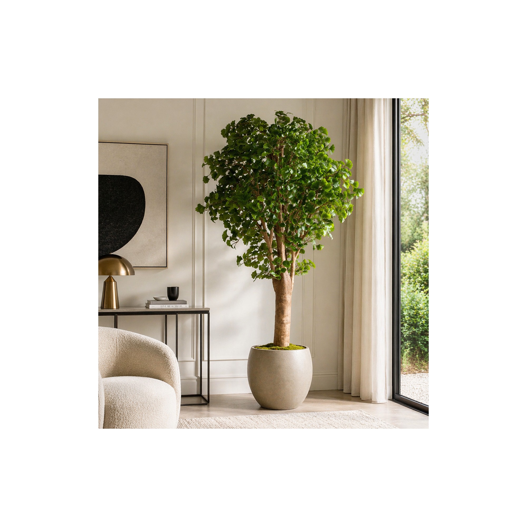  Ginkgo Biloba Seminaturale  Verde  Tronco Gigantea H 200 cm