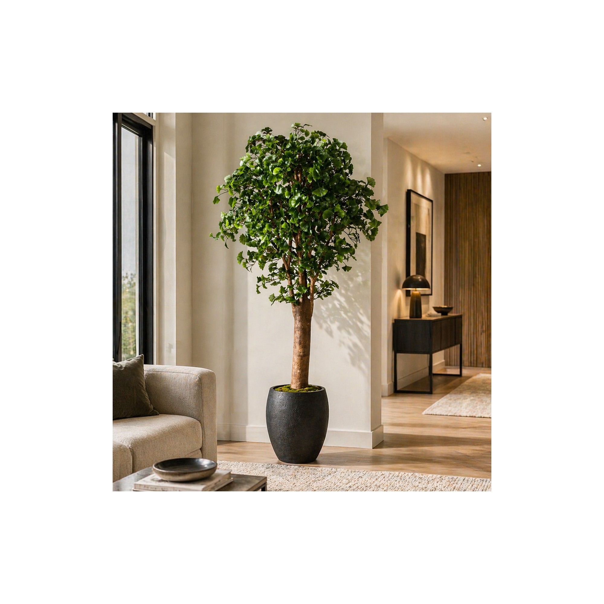  Ginkgo Biloba Seminaturale  Verde  Tronco Gigantea H 250 cm