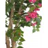 Bougainville Seminaturale  Fiori Rossi  Tronco Mansanisi H 100 CM