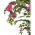 Bougainville Seminaturale Fiori Rossi  Tronco Mansanisi H 175 CM