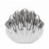 Design-Vase Die Muschel
