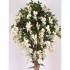 Glicine Seminaturale  Fiori Bianchi  Tronco Mediterraneo H 200 CM