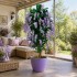 Glicine Seminaturale  Fiori Lavanda  Tronco Mansanisi H 150 CM