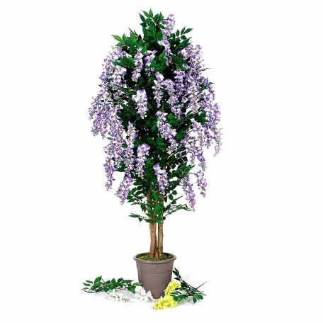 Glicine Seminaturale Fiori Lavanda  Tronco Mansanisi H 175 CM