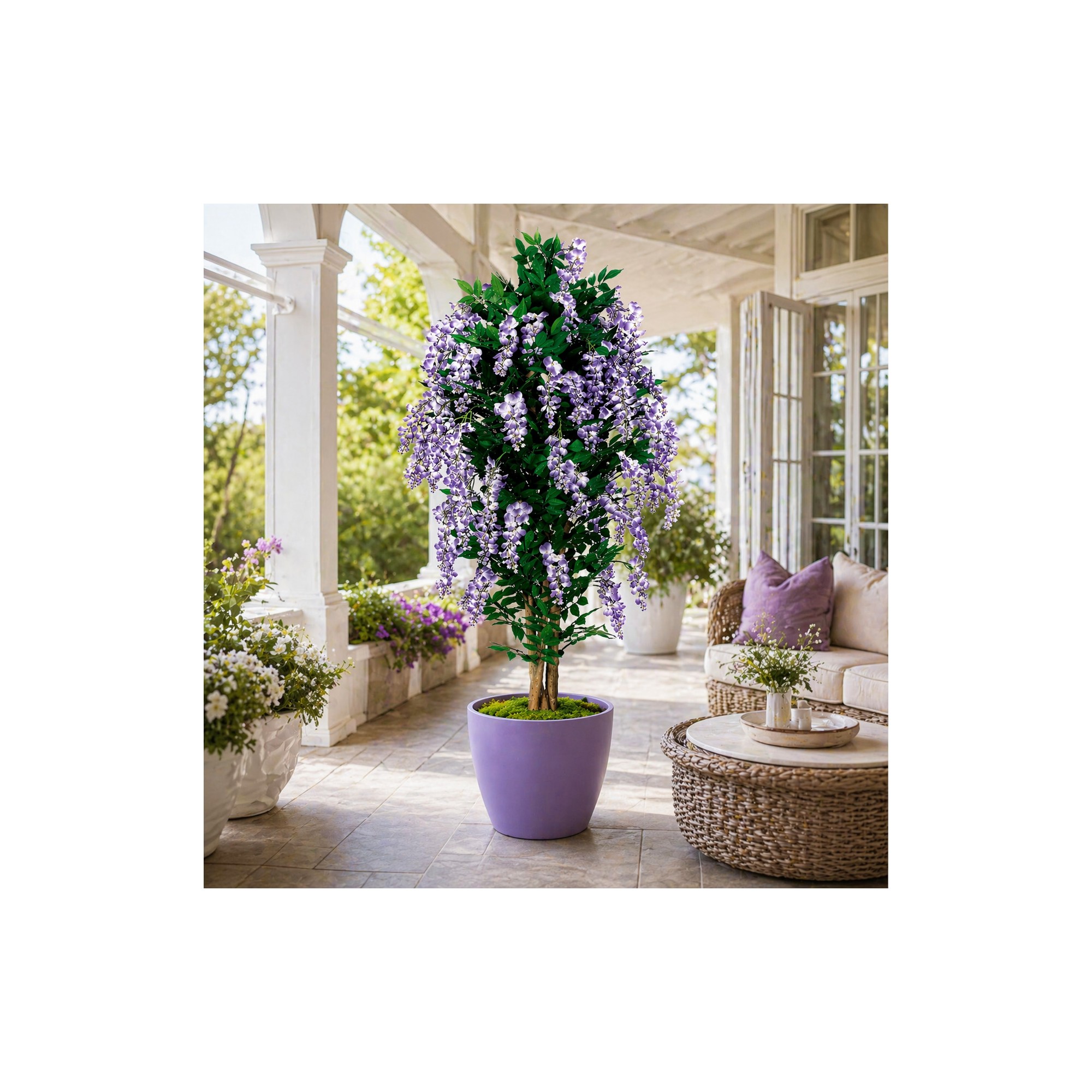  Glicine Seminaturale Fiori Lavanda  Tronco Mansanisi H 175 CM