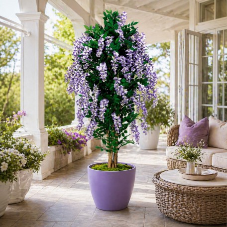 Glicine Seminaturale  Fiori Lavanda  Tronco Mansanisi H 225 CM