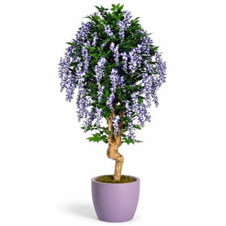 Glicine Seminaturale  Fiori Lavanda  Tronco Mediterraneo H 175 CM