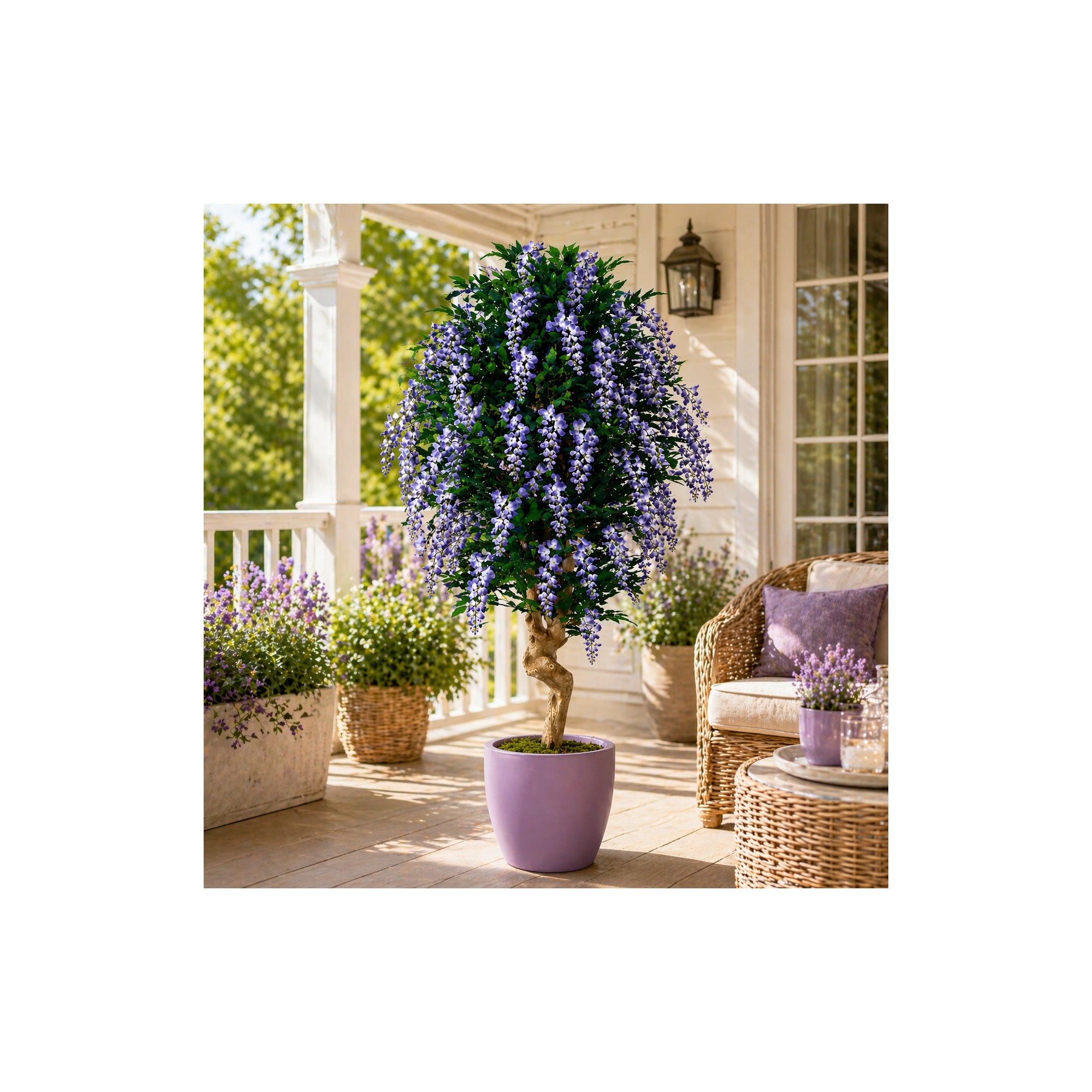  Glicine Seminaturale  Fiori Lavanda  Tronco Mediterraneo H 175 CM