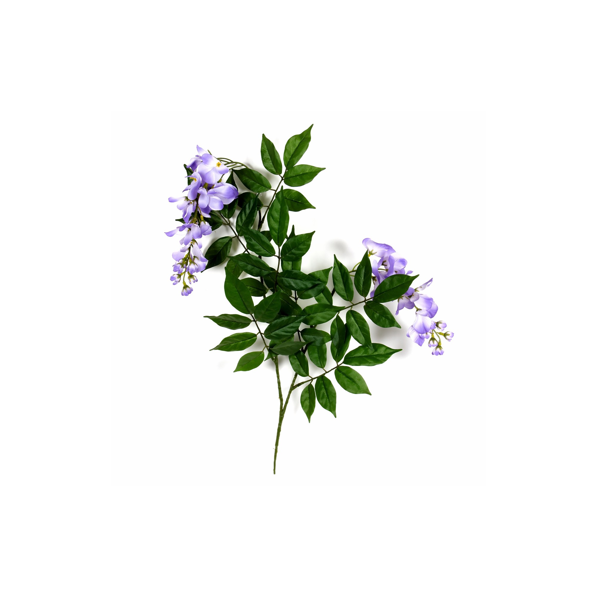  Glicine Seminaturale  Fiori Lavanda  Tronco Mediterraneo H 175 CM
