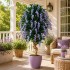 Glicine Seminaturale  Fiori Lavanda  Tronco Mediterraneo H 200 CM