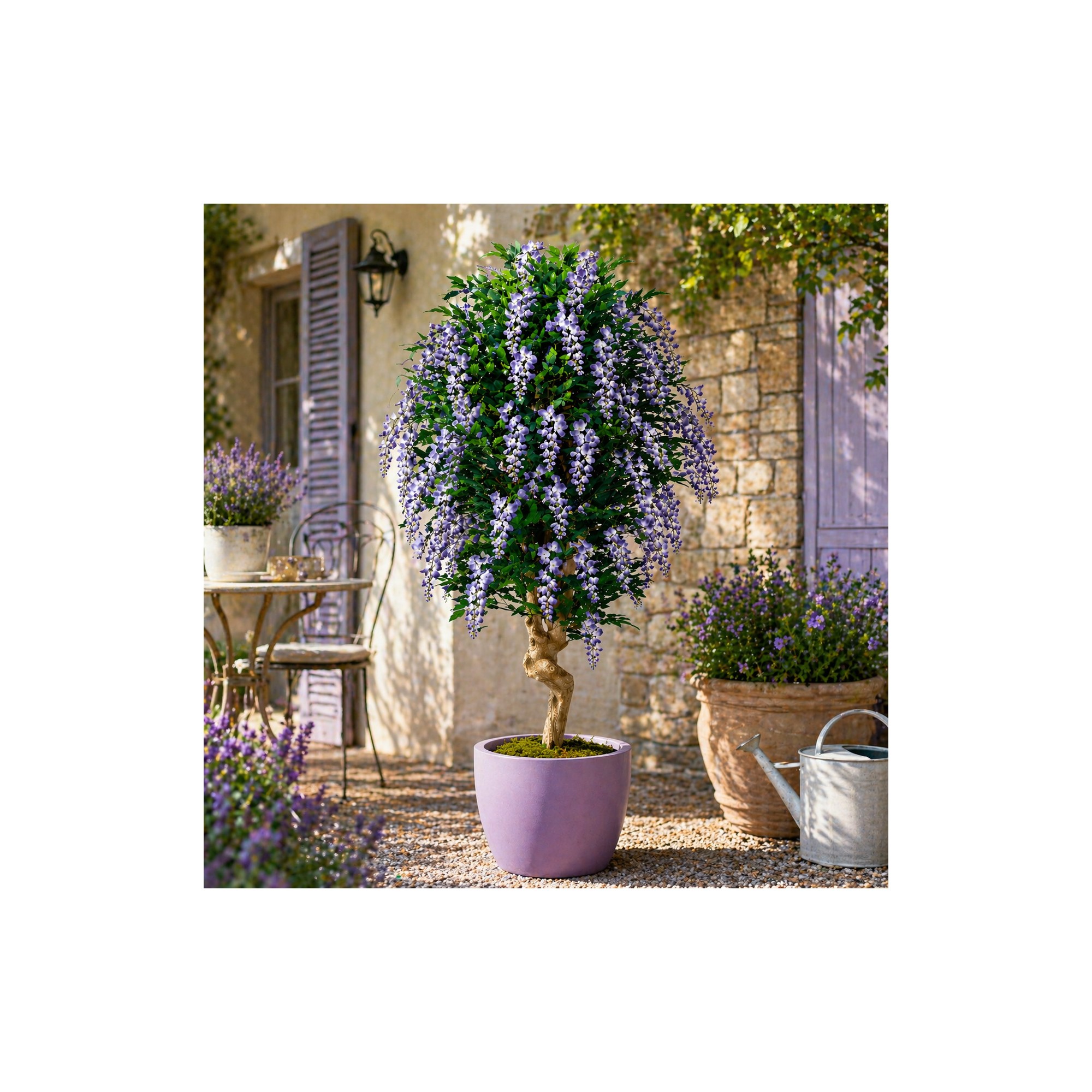  Glicine Seminaturale  Fiori Lavanda  Tronco Mediterraneo H 200 CM