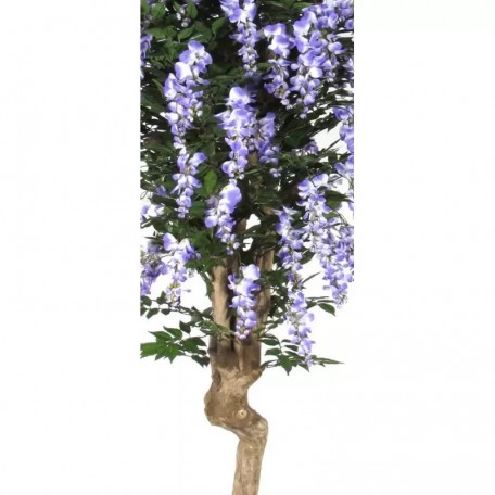 Glicine Seminaturale  Fiori Lavanda  Tronco Mediterraneo H 200 CM