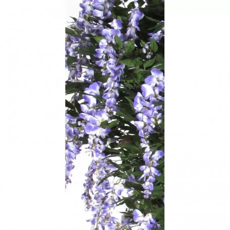 Glicine Seminaturale  Fiori Lavanda  Tronco Mediterraneo H 200 CM