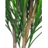 Gracillimus Seminaturale  Grass  Verde  Tronco Mansanisi  UVR H 200 CM
