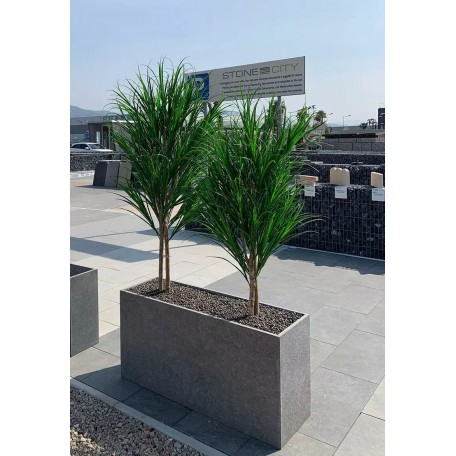 Gracillimus Seminaturale  Grass  Verde  Tronco Mansanisi  UVR H 225 CM