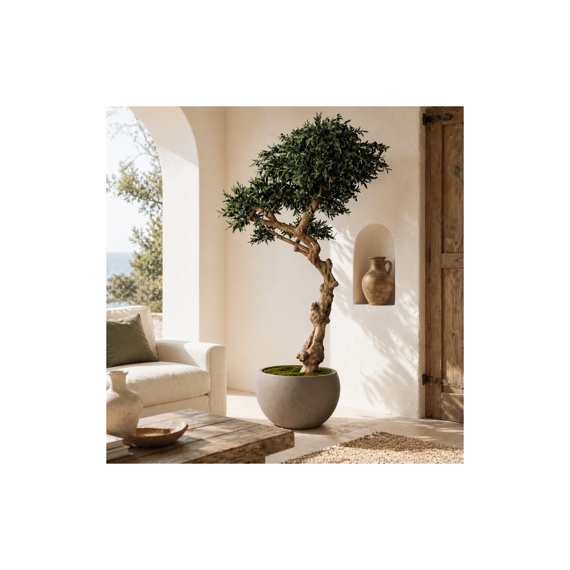  Olivo Seminaturale  Verde con frutti  Tronco Umbrella  H 275 cm