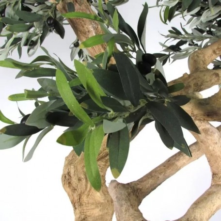 Olivo Seminaturale  Verde con frutti  Tronco Umbrella  H 275 cm