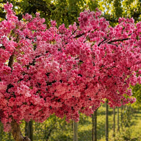 Pesco Seminaturale  Fiori Rosa  Tronco Umbrella ad angolo H 185 CM