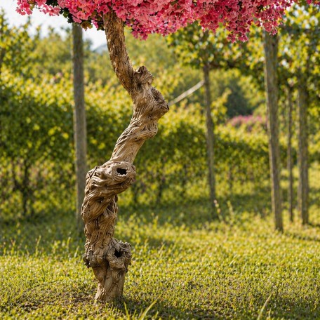Pesco Seminaturale  Fiori Rosa  Tronco Umbrella ad angolo H 185 CM