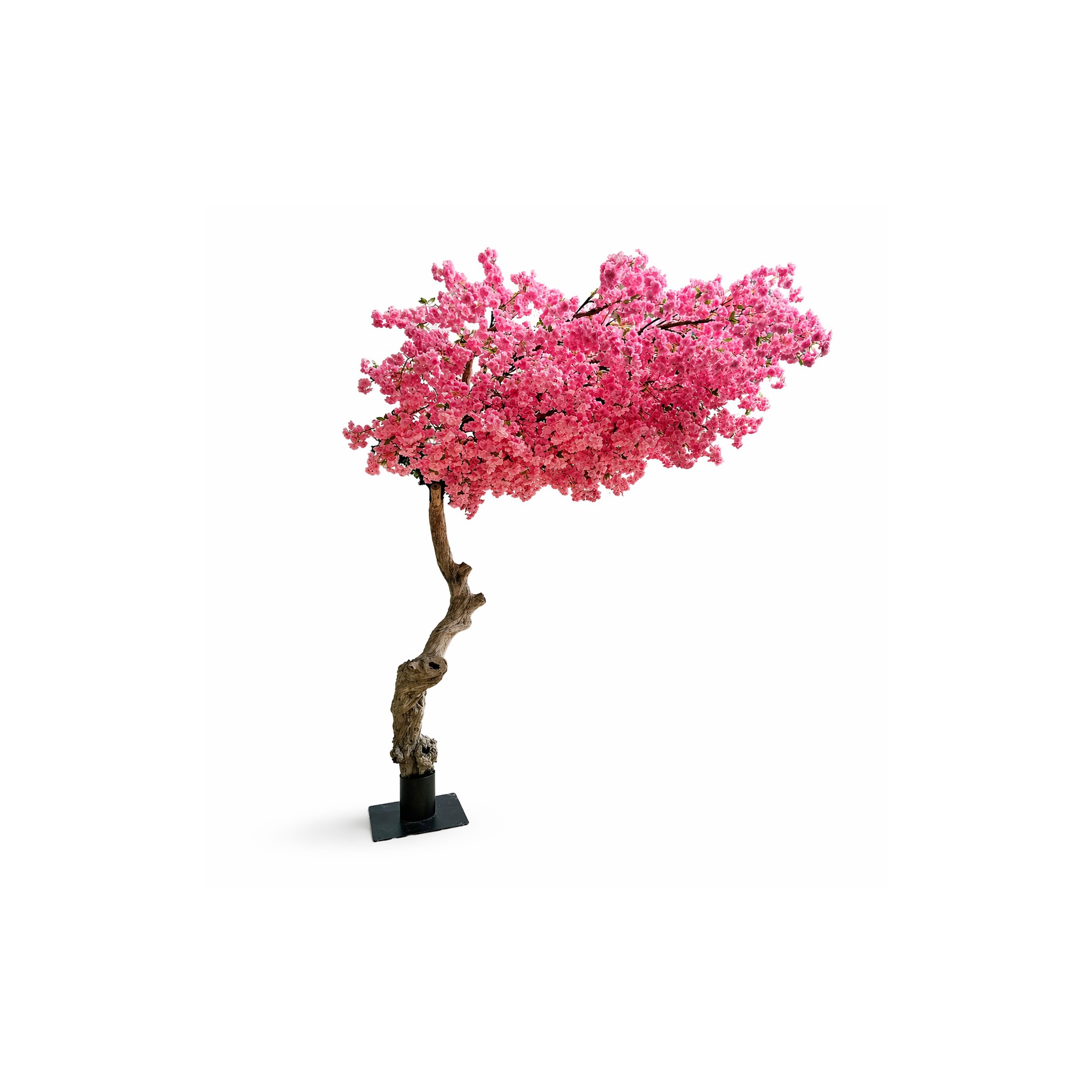  Pesco Seminaturale  Fiori Rosa  Tronco Umbrella ad angolo H 270 CM